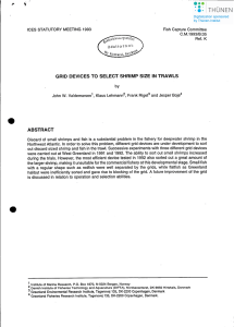 GRID DEVICES TO SELECT SHRIMP SIZE IN TRAWLS