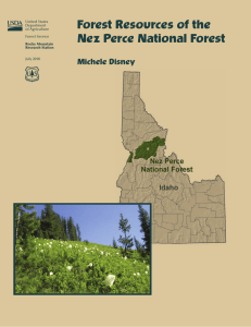 Forest Resources of the Nez Perce National Forest Michele Disney United States