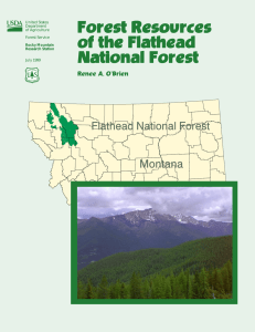 Forest Resources of the Flathead