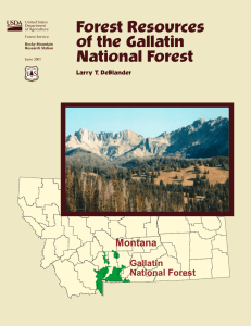 Forest Resources of the Gallatin National Forest Montana