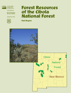 Forest Resources of the Cibola National Forest Paul Rogers