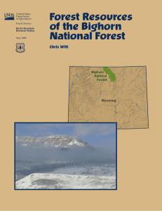 Forest Resources of the Bighorn National Forest Chris Witt