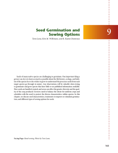 9 Seed Germination and Sowing Options