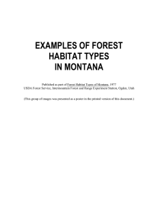 EXAMPLES OF FOREST HABITAT TYPES IN MONTANA