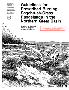 Guidelines for Prescribed Burning Sagebrush-Grass Rangelands in the