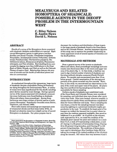 MEALYBUGS AND RELATED HOMOPTERA OF SHADSCALE: POSSIBLE AGENTS IN THE DIEOFF PROBLEMINTHEINTERMOUNTMN