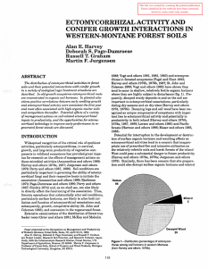 ECTOMYCORRHIZAL ACTIVITY AND CONIFER GROWTH INTERACTIONS IN WESTERN-MONTANE FOREST SOILS Alan E. Harvey