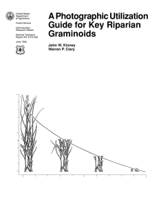 A Photographic Utilization Guide for Key Riparian Graminoids