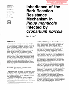 Inheritance  of  the Bark  Reaction Resistance Mechanism  in