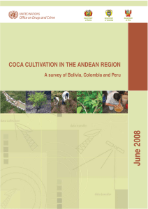 June 2008 COCA CULTIVATION IN THE ANDEAN REGION Government