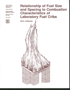 Relationship of Fuel  Size and  Spacing to Combustion