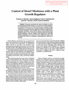 Control of Dwarf Mistletoes with a Plant Growth Regulator