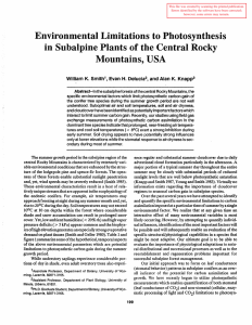 Environmental Limitations to Photosynthesis in Sllbalpine Plants of the Central Rocky Mountains, USA