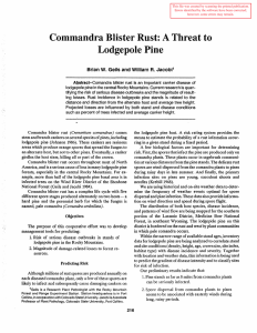 Conllnandra Blister Rust: Threat to Lodgepole Pin.e A
