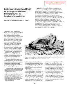 Preliminary Report on of  Bullfrogs on Wetland Herpetofaunas in Effect