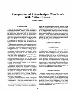 Revegetation  of  Piiion- Juniper Woodlands With Native  Grasses