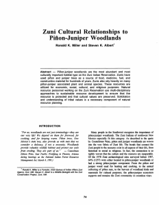 Zuni  Cultural Relationships  to Piiion Juniper woodlaids -