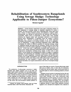 Rehabilitation  of  Southwestern Rangelands to  Piiion-Juniper Ecosystems?