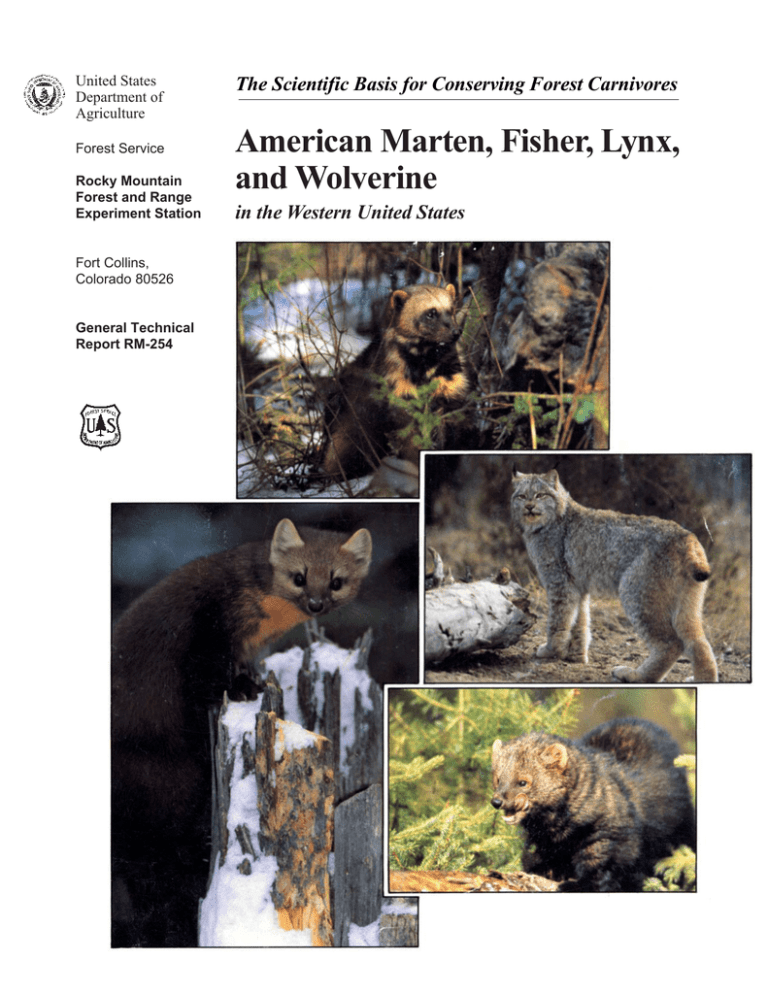 American Marten, Fisher, Lynx, and Wolverine in the Western United States