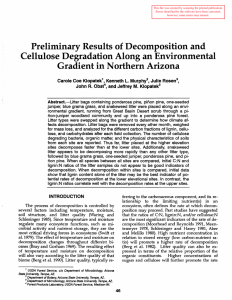 Preliminary Results of Decomposition and Cellulose Degradation Along an Environmental R.