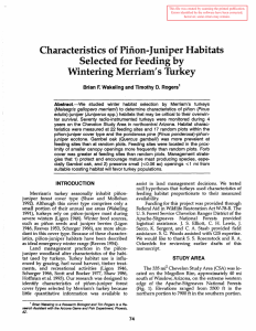 Characteristics of Pinon-Juniper Habitats Selected for Feeding by Wintering Merriam's Turkey F.