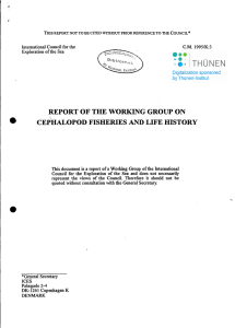 • 0/0 REPORT OF THE WORKING GROUP ON CEPHALOPOD FISHERIES AND LIFE HISTORY