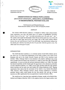 .. OBSERVATIONS ON WHELK POPULATIONS L., MOLLUSCA; GASTROPODA) IN BREIDIFJÖRDUR, WESTERN ICELAND