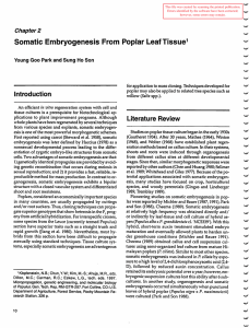 Somatic En1bryogenesis From  Poplar Leaf Tissue Chapter2