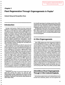 Plant Regeneration Through Organogenesis in  Poplar Introduction Chapter3