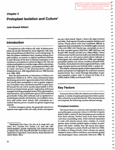 Protoplast Isolation and Culture Chapter4 Julie Russell  Kikkert