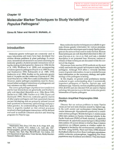 Molecular Study Variability of Marker Techniques to Populus