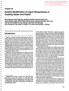 Genetic Modification of Lignin Biosynthesis in Quaking Aspen and Poplar Chapter26