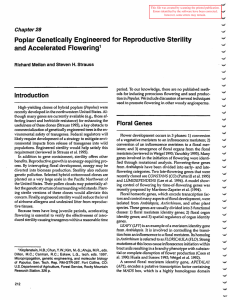 Poplar Genetically Engineered for Reproductive Sterility and Accelerated Flowering Chapter28