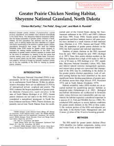 Greater Prairie Chicken Nesting Habitat, Sheyenne National Grassland, North Dakota Clinton McCarthy