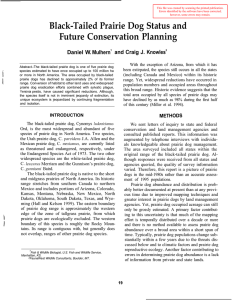 Black-Tailed Prairie Dog Status and Future Conservation Planning and Craig J. Knowles