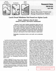 Larch Dwarf Mistletoe Not Found on Alpine Larch Research Note