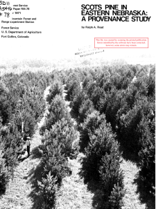 SCOTS  PINE  IN EASTERN  NEBRASKAm A  PROVENANCE STUDY