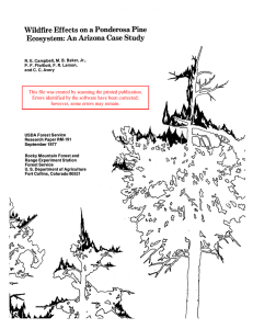 Wildfire Effects on a Ponderosa Pine Ecosystem: An Arizona Case Study