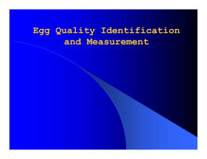 Egg Quality Identification and Measurement