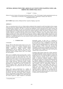 OPTIMAL RESOLUTION FOR LARGE-SCALE VEGETATION MAPPING USING AIR- BORNE MULTISPECTRAL DATA