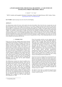 A FUZZY-BASED TOOL FOR SPATIAL REASONING: A CASE STUDY ON