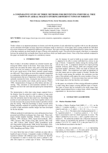 A COMPARATIVE STUDY OF THREE METHODS FOR IDENTIFYING INDIVIDUAL TREE