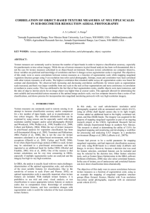 CORRELATION OF OBJECT-BASED TEXTURE MEASURES AT MULTIPLE SCALES