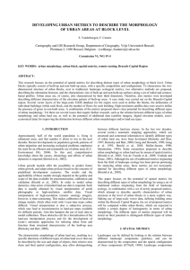 DEVELOPING URBAN METRICS TO DESCRIBE THE MORPHOLOGY