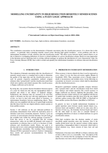 MODELLING UNCERTAINTY IN HIGH RESOLUTION REMOTELY SENSED SCENES