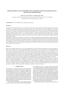 DELINEATION OF PALM SWAMPS USING SEGMENTATION OF RADARSAT DATA