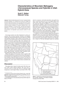 Characteristics of Mountain Mahogany (Cercocarpus) Species and Hybrids in Utah Hybrid Zone