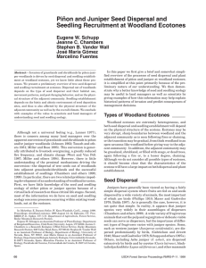 Piñon and Juniper Seed Dispersal and Seedling Recruitment at Woodland Ecotones