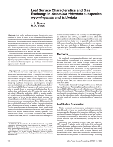 Leaf Surface Characteristics and Gas Exchange in Artemisia tridentata subspecies and tridentata wyomingensis