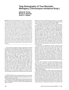 Twig Demography of True Mountain Mahogany (Cercocarpus montanus Scop.) Deborah Turley